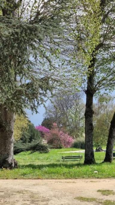Pavillon Des Ecureuils Au Chateau Royal De Benays Benais المظهر الخارجي الصورة