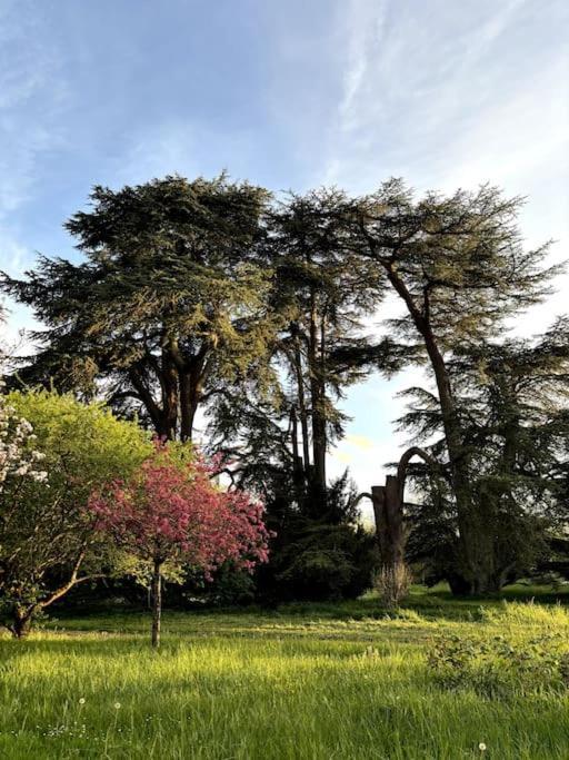 Pavillon Des Ecureuils Au Chateau Royal De Benays Benais المظهر الخارجي الصورة